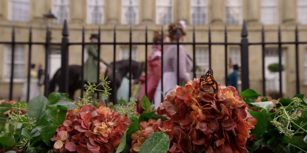 Immagine farfalla in Bridgerton 4